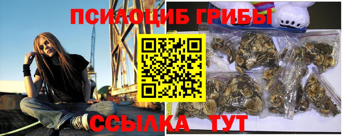Камень-на-Оби  где можно купить   Вход с VPN  Галлюциногенные грибы Psilocybe  Псилоцибиновые грибы ЛСД 