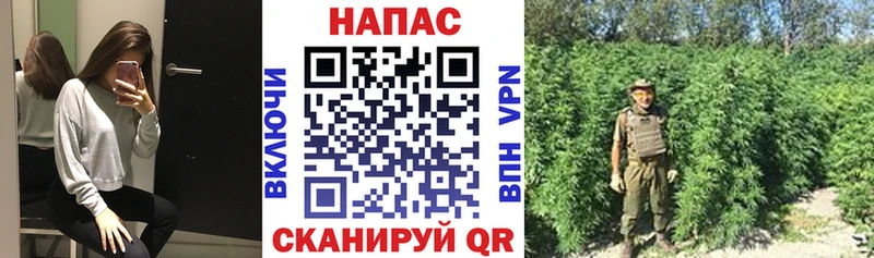 купить наркоту Камень-на-Оби Конопля планчик